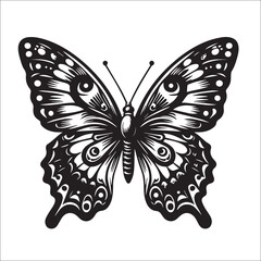 Butterfly Black and White Vector illustration silhouette full black color white background