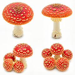 Fly agaric mushroom set isolated on white background