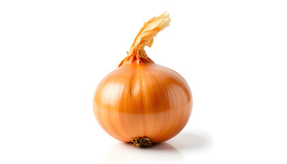 Freshly Harvested Whole Onion on a White Background