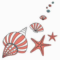 Coral Pink and White Seashells Starfish Ocean Theme Illustration White Background vector