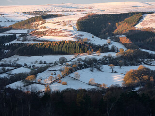 First light on pine trees and snow covered fields below Eyam Moor, Derwent Valley, Peak District, UK
