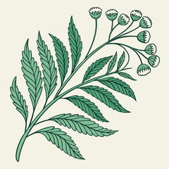 Flat vector Illustration of a foliage plant	