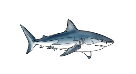 Fototapeta premium Shark one-line doodle