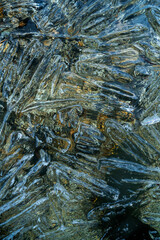 needles and crystals of melting transparent ice on the pebble shore of the northern Kolyma