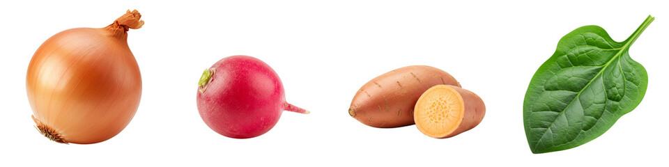 Fresh vegetables including onion, radish, sweet potato, and spinach  