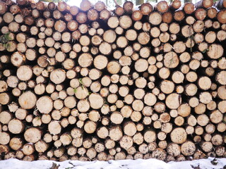 A pile of logs with a lot of wood stacked up
