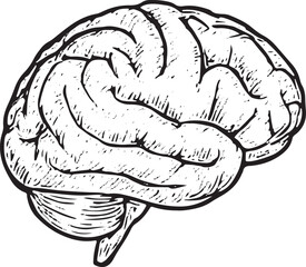 Hand-drawn brain icon symbolizing mental health, cognition, and mindfulness, ideal for wellness designs promoting brain care and intellectual balance