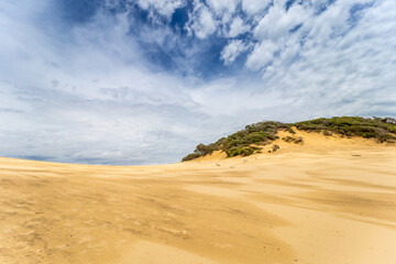 Panorama of Sand Dune at Carlo Sand Blow and Rainbow Beach, Queensland, Australia.