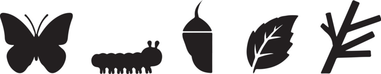 The life cycle of a butterfly depicted with simple silhouettes and icons