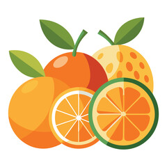Digital vector illustration of six citrus fruits including lemon, lime, orange, grapefruit, tangerine, and pomelo. Perfect for food design, nutrition visuals, and organic product packaging.