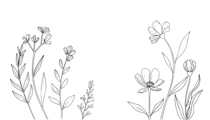 delicate black and white line drawing of various wildflowers, showcasing their natural beauty and elegance, perfect for artistic and decorative uses