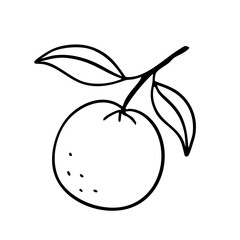 Hand-drawn orange with leaves in minimalistic doodle style. Black ink vector line art, perfect for summer packaging, branding, logo design, and organic food illustration.