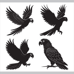 Obraz premium Vector illustration set of black and white flying bird silhouettes and icons