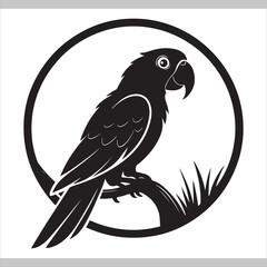 Vector illustration set of black and white flying bird silhouettes and icons