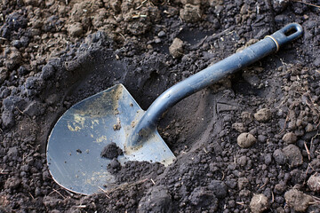 Gardening shovel in the soil 