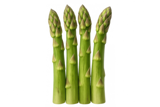 Four asparagus spears standing upright against a transparent background, showcasing their vibrant green color and fresh, healthy appeal for culinary creations