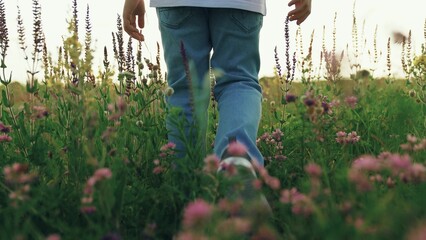 Boy child walks on grass with flowers in summer in park. Legs child stepping on green grass on...