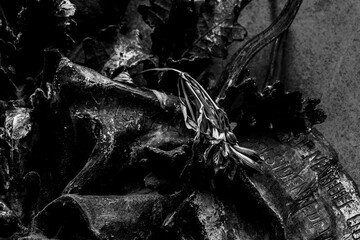 Close-up of a dried flower resting on a corroded memorial plaque with engraved text. Black and...