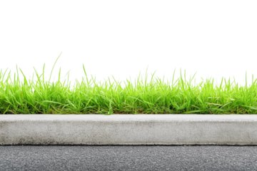 Green grass growing next to concrete curb and asphalt pavement, isolated on transparent background