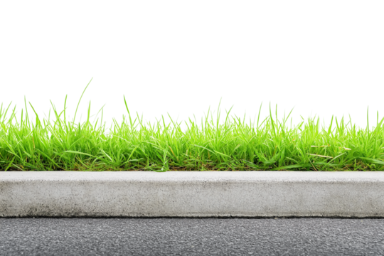 Green grass growing next to concrete curb and asphalt pavement, isolated on transparent background