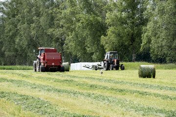 Obraz premium Tractors and Stork in Hayfield During Silage Production – Rural Life and Nature Harmony Concept