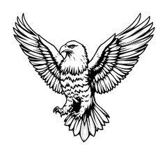 Fototapeta premium eagle with wings