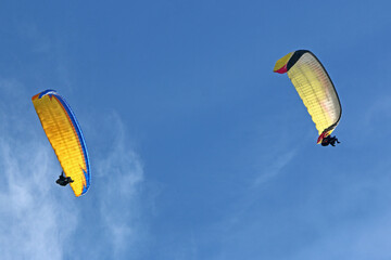Paragliders flying in a blue sky	