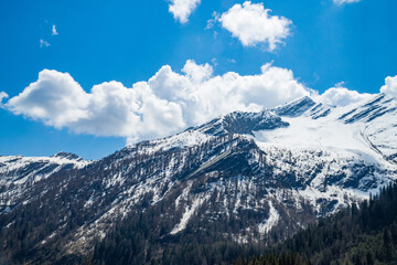 Obraz premium Idyllic landscape in the Alps with fresh green meadows and mountain peaks.