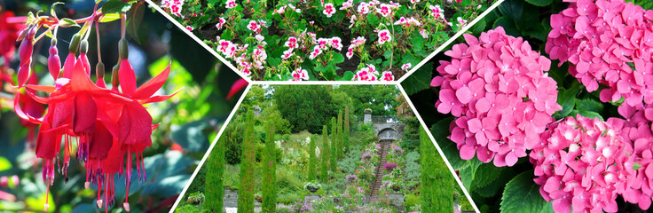 Colorful collage of flowers and garden. Mosaic pattern.