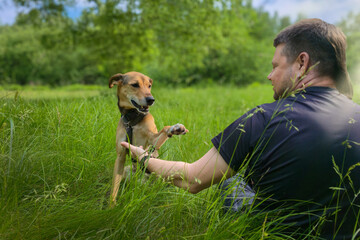 Dog giving paw to man in forest park, emotional bond between pet and owner outdoors. Funny mixed-breed dog gives its paw to young man sitting on grass. connection and trust between human and dog