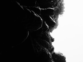 black and white background and silhouette of coral, underwater, underwater art, photography
