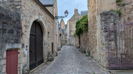 Medieval town in spring with half-timbered buildings, stone masonry, decorative door surrounds, wood and metal shutters, flowers in flower pots and window flower beds in Le Mans, France