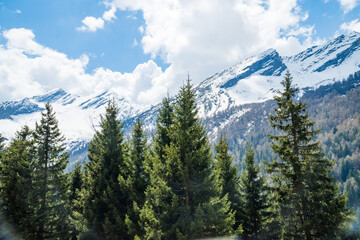 Idyllic landscape in the Alps with fresh green meadows and mountain peaks.