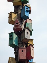 Lots of colorful wooden birdhouses