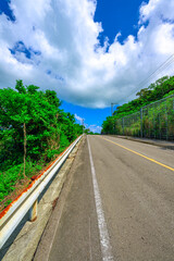  青空と緑が美しい石垣島北部の静かな田舎道の風景　南国ドライブ