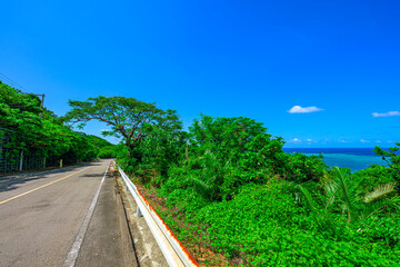  青空と緑が美しい石垣島北部の静かな田舎道の風景　南国ドライブ