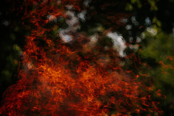 Bright orange flames dance vividly against a dark natural background, creating a dramatic contrast...