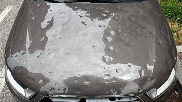 Car hood severely damaged by hail, showing multiple dents and surface imperfections caused by the storm.