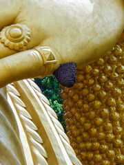 Wasp nest on the hand of the Statue of Lord Murugan (Hindu God of War) at the Batu Caves, Kuala Lumpur - Malaysia