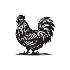 Hen Vector (1).eps