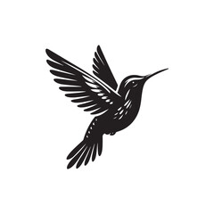 Fototapeta premium Humming Bird Vector (3).eps