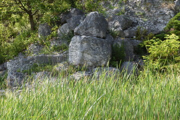 ancient stone in the forest