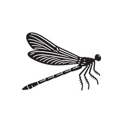Damselfly Vector (2).eps