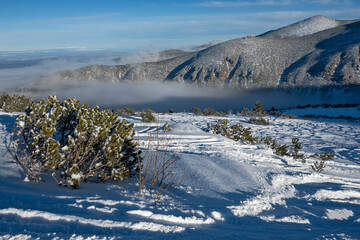 Landscape of Rila mountain near Musala peak, Bulgaria