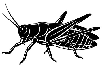  Silhouette Vector Art Illustration of	Black and White Grasshopper  Drawing