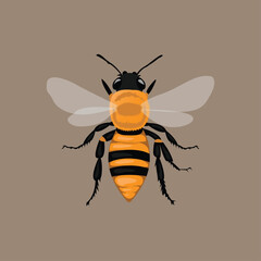 detailed vector art of Bee
