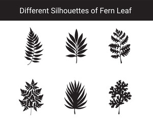 Set of Different Fern Leaf Silhouettes – Botanical Black Leaf Vector Collection