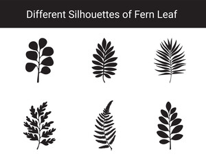 Set of Different Fern Leaf Silhouettes – Botanical Black Leaf Vector Collection