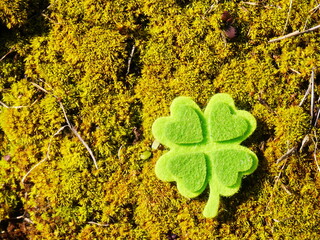 A green shamrock is on a mossy ground