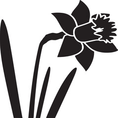 Silhouette of a daffodil flower with leaves in black and white on a plain white background design